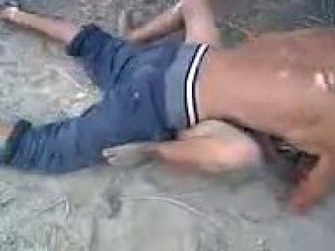 Плрно видео: пьяный кавказец трахает сучку во дворе.